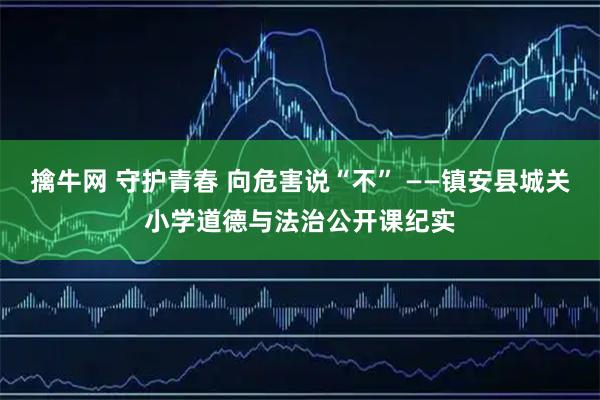 擒牛网 守护青春 向危害说“不” ——镇安县城关小学道德与法治公开课纪实