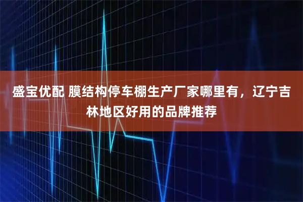盛宝优配 膜结构停车棚生产厂家哪里有，辽宁吉林地区好用的品牌推荐